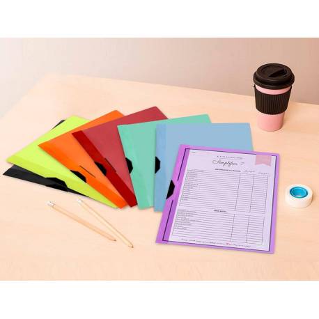 RAJA Dossier de pinza, A4, PVC, 60 hojas, colores surtidos - Carpetas  Dossier de Pinza Kalamazoo