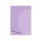 LIBRETA LIDERPAPEL 360 TAPA DE PLASTICO A4 48 HOJAS 90G/M2 CUADRO 5 MM CON DOBLE MARGEN COLORES PASTEL