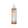 SPRAY NOBO LIMPIADOR DE PIZARRAS BLANCAS ECOLOGICO BOTE DE 250 ML