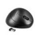 RATON Q-CONNECT OPTICO INALAMBRICO ERGONOMICO VERTICAL DPI 800/1200/1600 PILA AA NEGRO