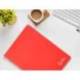 CUADERNO ESPIRAL LIDERPAPEL DIN A4 WITTY TAPA DURA 80H 90GR RAYADO HORIZONTAL CON MARGEN COLOR ROJO