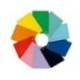 CUADERNO ESPIRAL LIDERPAPEL DIN A4 WITTY TAPA DURA 80H 90GR CUADRO 8MM CON MARGEN COLORES SURTIDOS