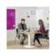 Pizarra Blanca Lacada Magnetica con Mural Ski WhiteBoard® 100x150 Rocada