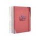 AGENDA ESCOLAR ANTARTIK 25-26 ESPIRAL FUN DAY ROSA DIA PAGINA A5 BILINGÜE PAPEL FSC 80 GR