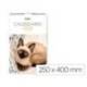 CALENDARIO ESPIRAL PARED LIDERPAPEL IMAGENES GATOS 2026 PARA ESCRIBIR 25X40 CM PAPEL 157 GR