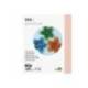 Cartulina Liderpapel color salmon a4 180 g/m2