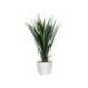 PLANTA ARTIFICIAL PAPERFLOW YUCA 60 CM