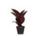 PLANTA ARTIFICIAL PAPERFLOW FICUS ELASTICA 36 CM