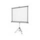 Pantalla proyeccion Nobo mural con tripode 1750X1325 mm