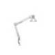 LAMPARA DE ESCRITORIO MAUL STUDY CON PINZA COLOR PLATA 170X440X350 MM