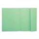 Subcarpeta Exacompta nature future din A4 verde 160 g/m2 con solapa interior