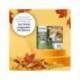 CARTUCHOS INK-JET EPSON T1285 MULTIPACK C13T12854012