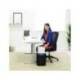 DESTRUCTORA DE DOCUMENTOS FELLOWES LX-41 CAPACIDAD 8H SEGURIDAD P4 DESTRUYE GRAPAS CLIPS Y TARJETA PAPELERA 17 L