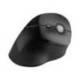 RATON OPTICO KENSINGTON PRO FIT ERGO VERTICAL COLOR NEGRO