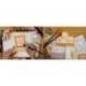 ROTULADOR TOMBOW ACUARELABLE DOBLE PUNTA FINA/PINCEL COLORES PASTEL CAJA DE 6 UNIDADES COLORES SURTIDOS